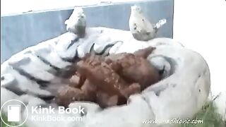 blonde girl pooping in her garden