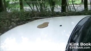Shit and Piss on her car lol