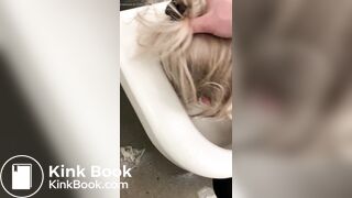 Public Toilet Submission 2