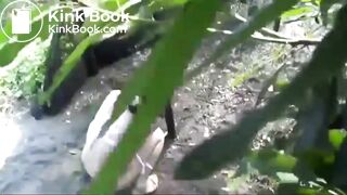 Spying a girl pooping outdoor