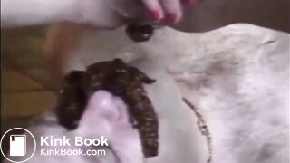 SHIT-EATER DIRTY ALOIS-BRUTAL DEGRADATION MIX!!