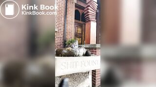 Shitting on a stone shit