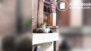 Shitting on a stone shit