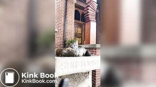 Shitting on a stone shit