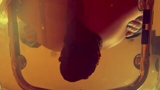 Authentic black caviar dark scat