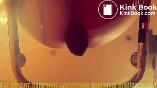 Authentic black caviar dark scat