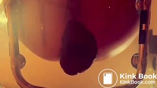 Authentic black caviar dark scat