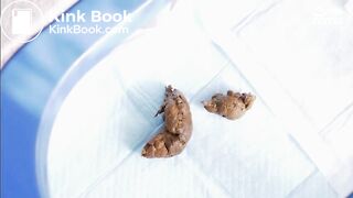 Pee poop Excretion only - video 2