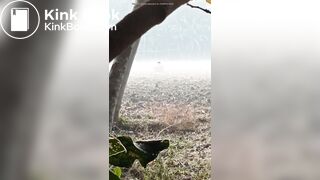 Outdoor desi pee gaand