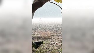 Outdoor desi pee gaand