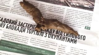 dirty girl solo shit