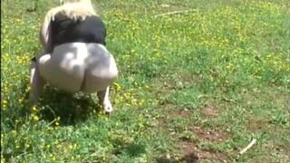 Girl pooping outdoor - video 12