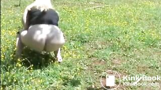 Girl pooping outdoor - video 12