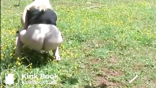 Girl pooping outdoor - video 12