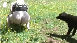 Girl pooping outdoor - video 12