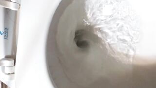 Two toilet poops