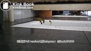 Beautiful girl poops in the toilet 72