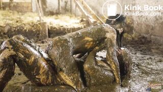 Two Girls One Farm - Kaitlyn Katsaros Lyndra Lynn cowshit sex