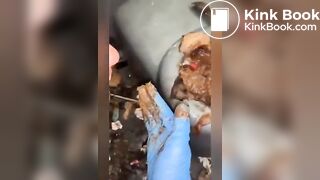 Rotten Portapotty shit eating by demand