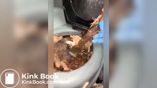 Rotten Portapotty shit eating by demand