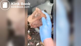 Rotten Portapotty shit eating by demand