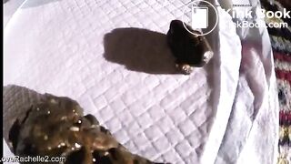 big ass shitting a thick log