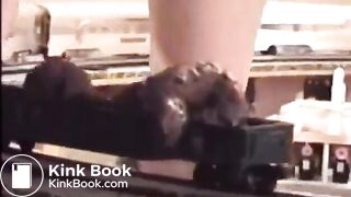 Shitting on a model train