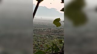 Outdoor shitting - video 11