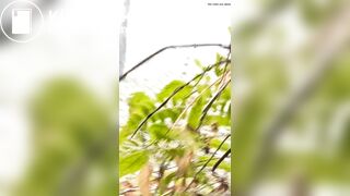 Outdoor shitting - video 11