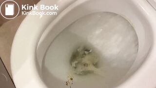 Toilet Shit & Piss - video 2