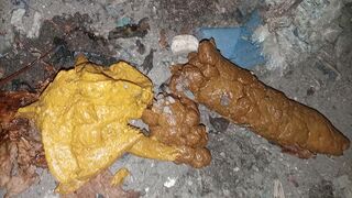 Ebony midnight poop at the bush