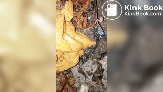 Ebony midnight poop at the bush