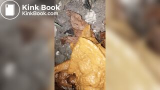 Ebony midnight poop at the bush