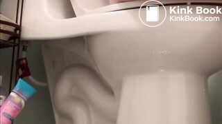 Toilet Pooping / farting