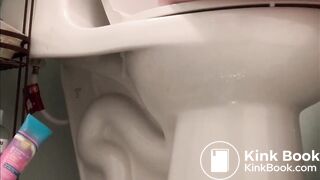 Toilet Pooping / farting