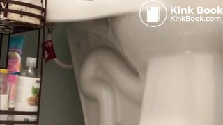 Toilet Pooping / farting