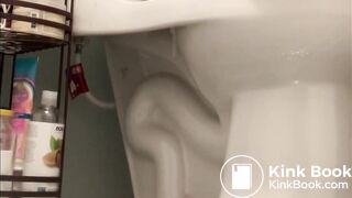 Toilet Pooping / farting