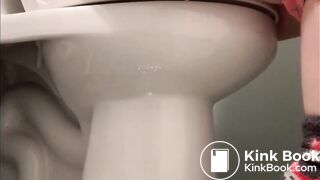 Toilet Pooping / farting
