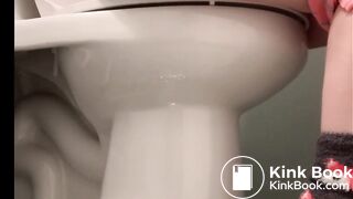 Toilet Pooping / farting