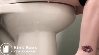 Toilet Pooping / farting