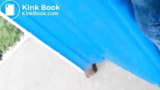 Couple scat play with farmed shit