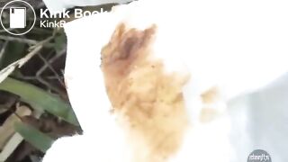 japanses girl massive outdoor shit