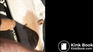 the right way of assfucking scat