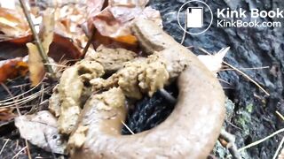 Videos 320