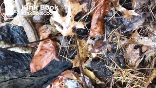 Videos 320