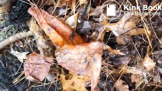 Videos 320