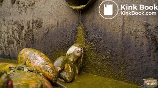 Masturbating in the manure pit