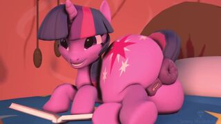 SMF PONY SOLO FARTS SCAT