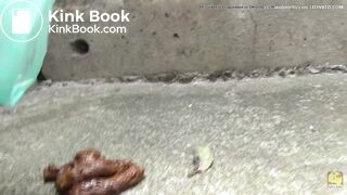 Desperate woman shit knowing she got no paper [PM105]