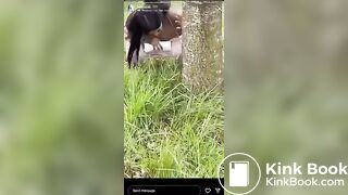 Popular IG Model strikes again